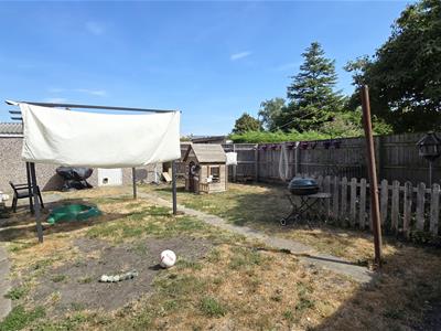 Picture 12